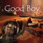 Good Boy The Long Night