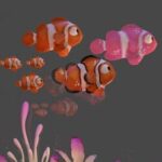Aquanima