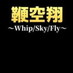 Whip/Sky/Fly