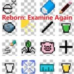 Reborn: Examine Again