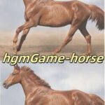 HgmGame Horse