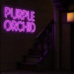 Purple Orchid