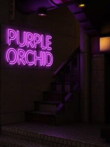 Purple Orchid