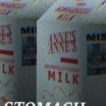 Stomach