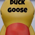 Duck Duck Goose