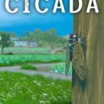 Cicada