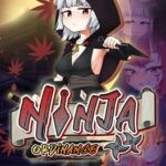 Ninja Ordinance