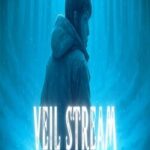 Veil Stream