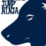 Jumping Jump Ninja
