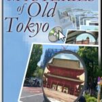 Mysteries of Old Tokyo