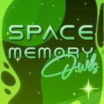Space Memory: Owls