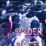 Spider Maze