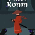 Pixel Ronin