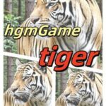 HgmGame-Tiger
