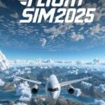 Flight Sim 2025