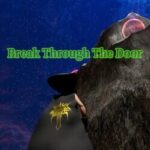 Break Through the Door