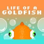 Life of a Goldfish