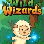 Wild Wizards
