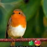Hidden Pairs 3: Lovely Birds
