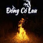 Đồng CỎ Lau: The Reed Field