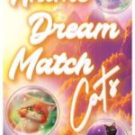 Anime Dream Match: Cats