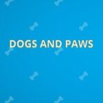 Dogs and Paws