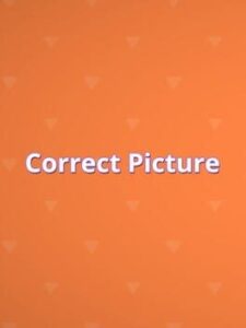 Correct Picture