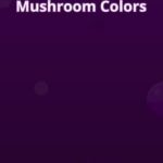 Mushroom Colors