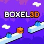 Boxel 3D