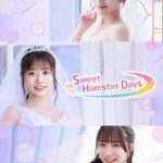 Sweet Hamster Days