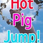 Hot Pig Jump!