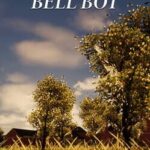 Bell Bot