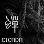 Cicada