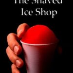 The Shaved Ice Shop