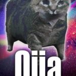 Oiia