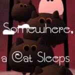 Somewhere, a Cat Sleeps