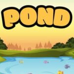 Pond