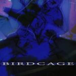 Birdcage