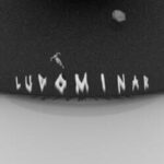 Ludominar