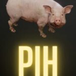 Pih