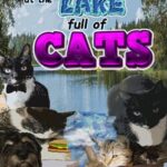 Fishing at the Lake Full of Cats