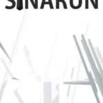 SinaRun