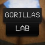 Gorillas-Lab