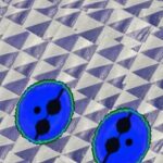 Blue Balls