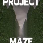 Project Maze