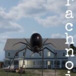 Arachnoid