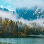 Wilderness