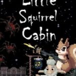 Little Squirrel Cabin