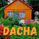 Dacha