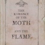 The Romance of the Moth and the Flame